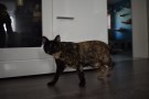 Mimi (7)